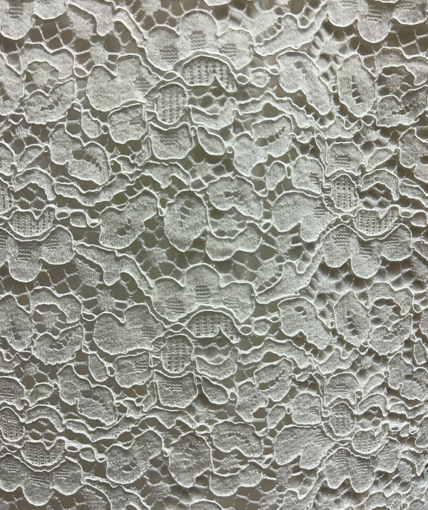 Mlle Gabrielle Plus Lace Dress