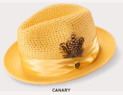 MONTIQUE Solid Color Fedora H-34