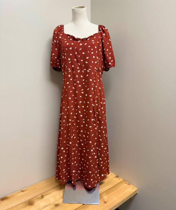 Zenobia Print Midi Dress