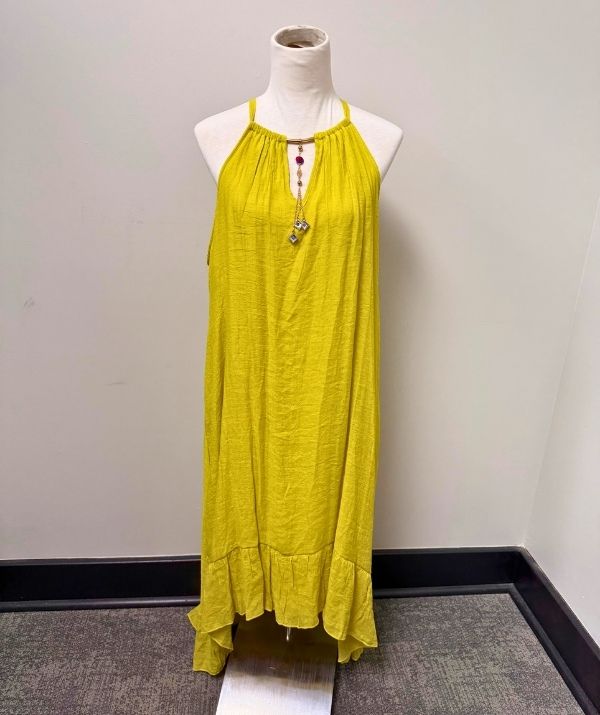 Mlle Gabrielle Plus Dress